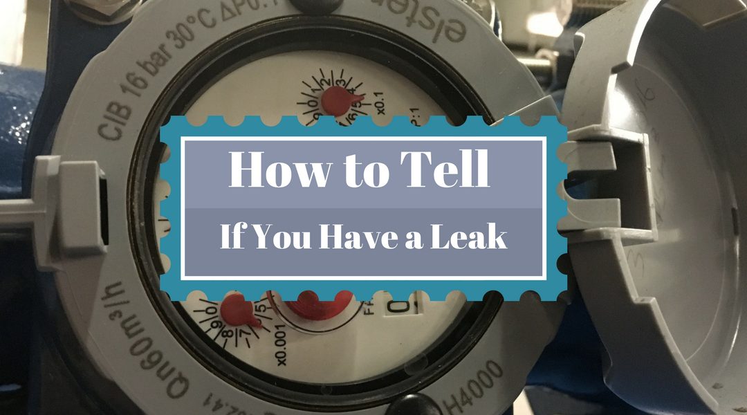 Do I Have a Water Leak?