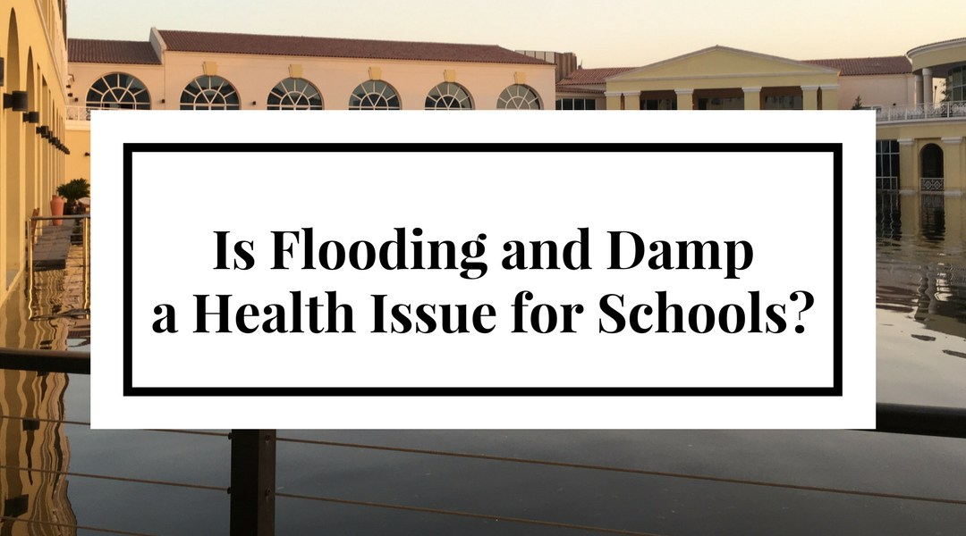 school flooding leakdtech dubai