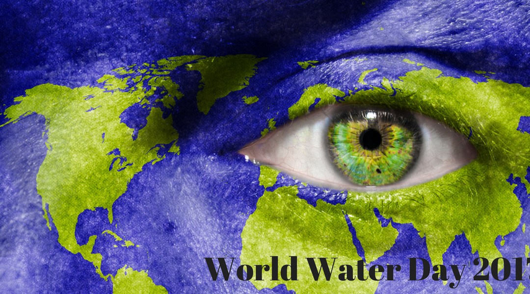 World Water Day 2017 LeakDtech Dubai