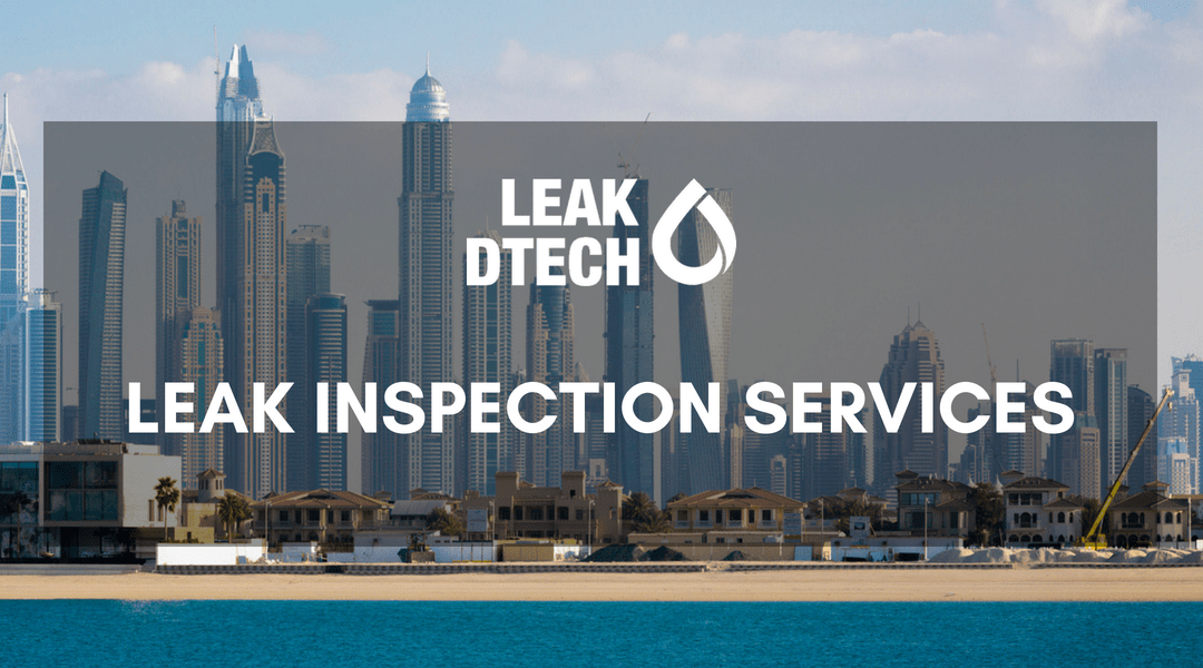 LeakDtech Leak Inspection Services