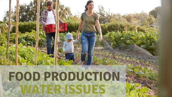 Agriculture and Associated Water Usage