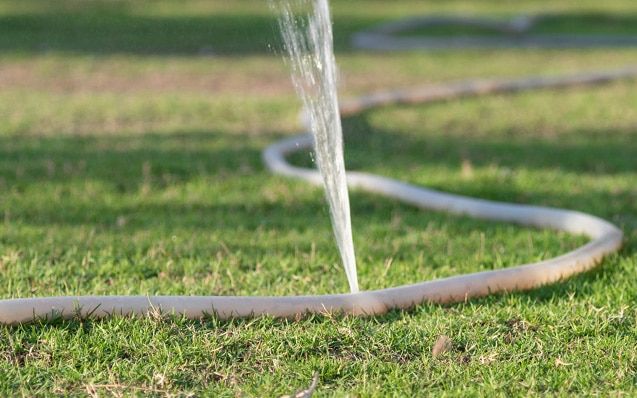 Saving water outside the home