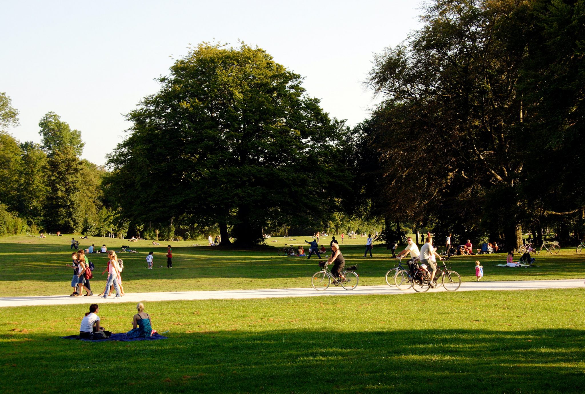 Public Park Leaks