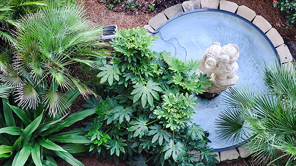 Residential Fountain Water Leaks