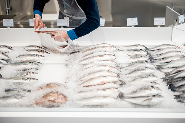Fish Counter leaks