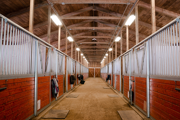 Water Leaks in Horse Stables and Polo Clubs