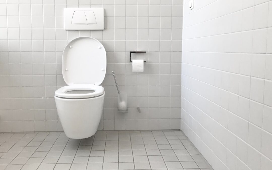 Fixing Toilet Leaks
